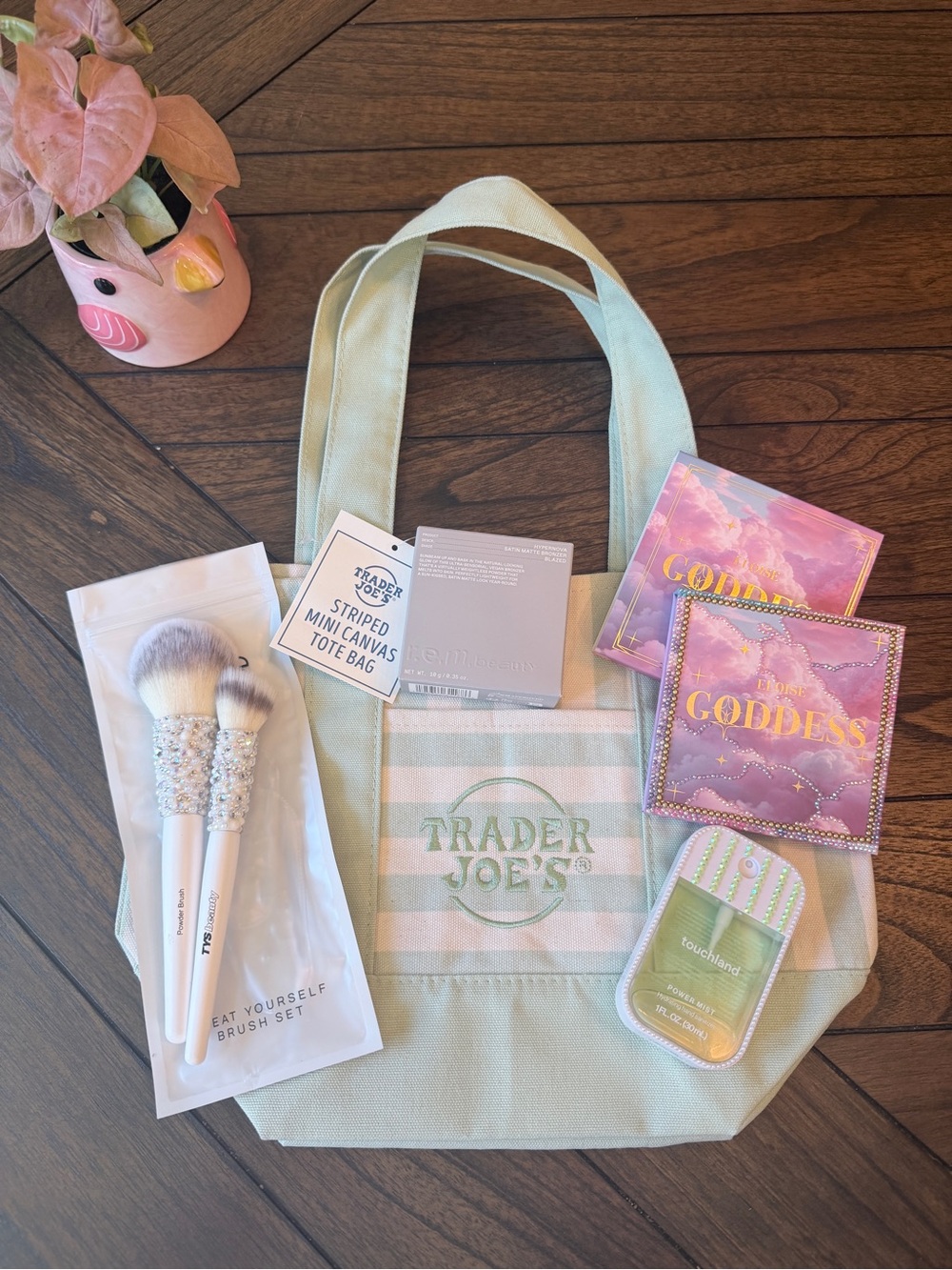 Trader Joe's Mint Green Striped Canvas Tote Bag Makeup Bundle